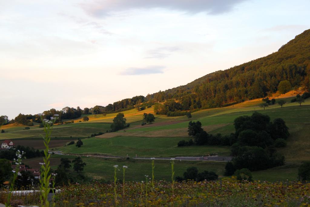 B&B Am Sonnenhuegel Baden Buitenkant foto