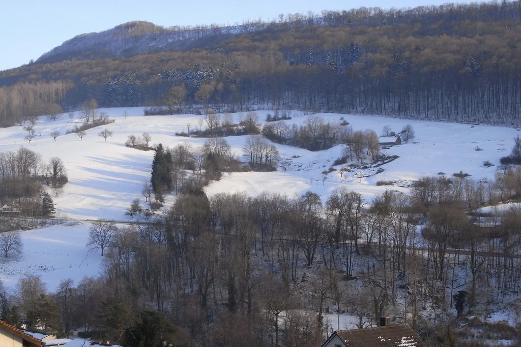 B&B Am Sonnenhuegel Baden Buitenkant foto