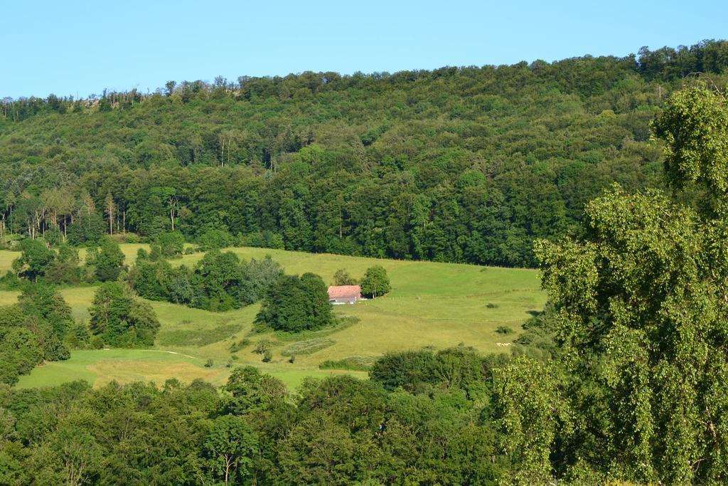 B&B Am Sonnenhuegel Baden Buitenkant foto